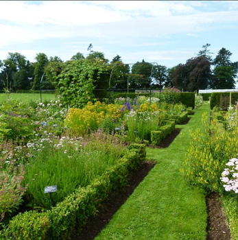 Logie House - Herbalist Garden